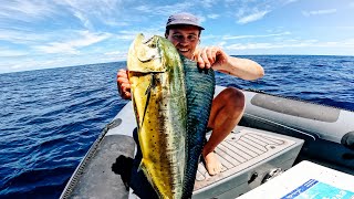 Thumbnail for Surviving 50 Hours Eating Only What I Catch