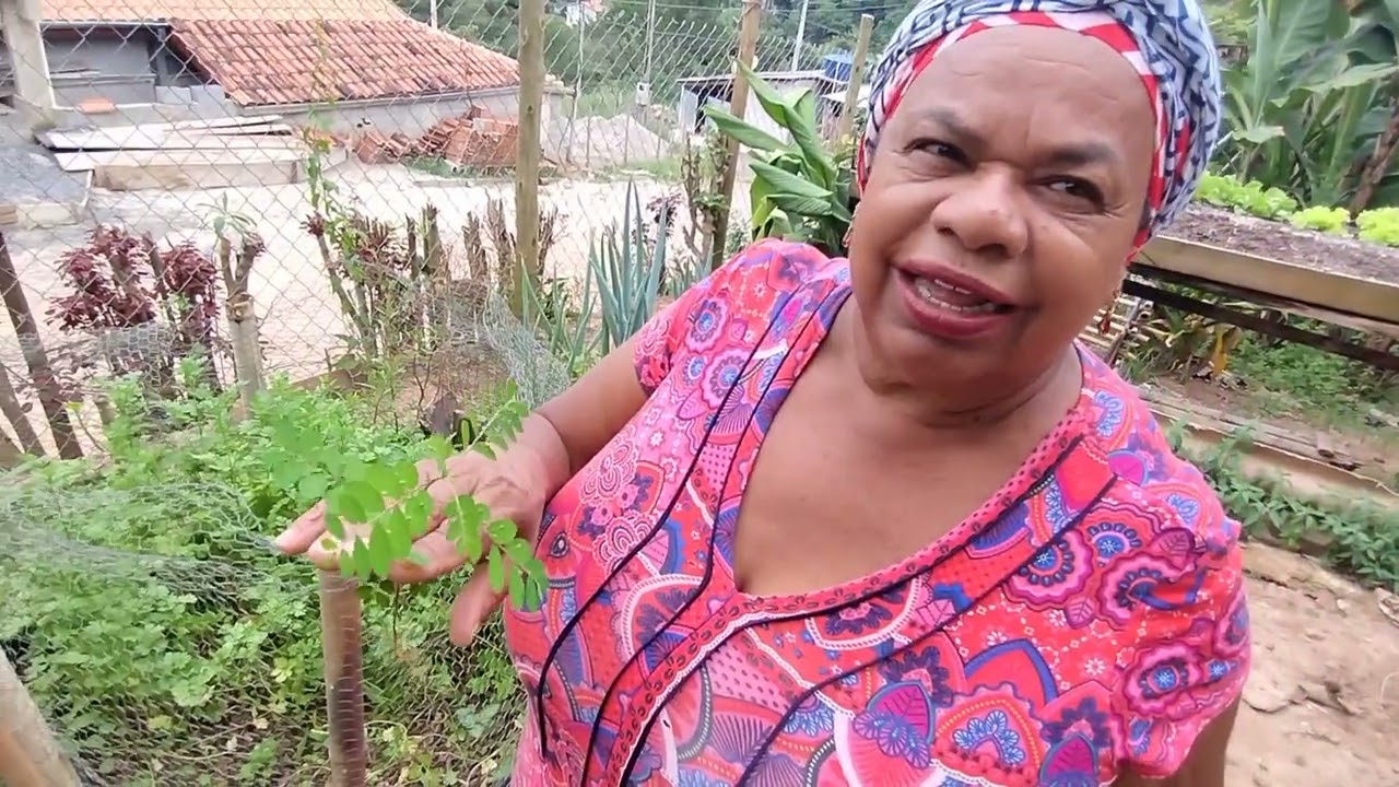 Polenta com carne moída