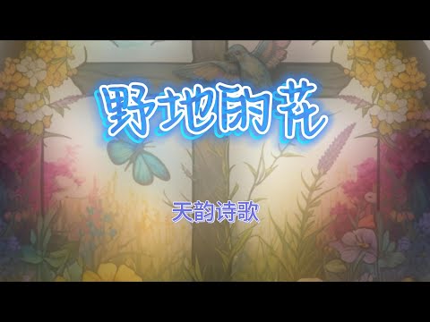 《野地的花》天韵诗歌