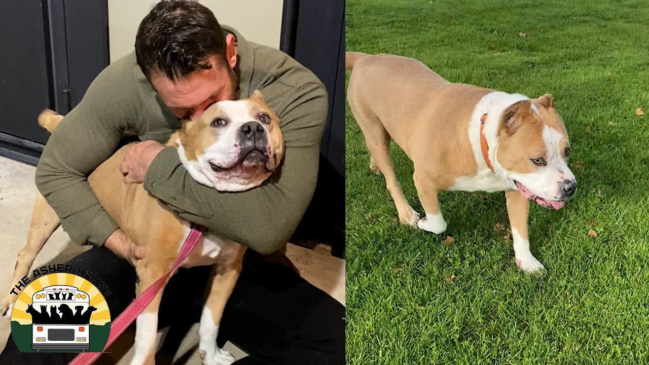 A Tribute To The Great Jack The Asher House YouTube