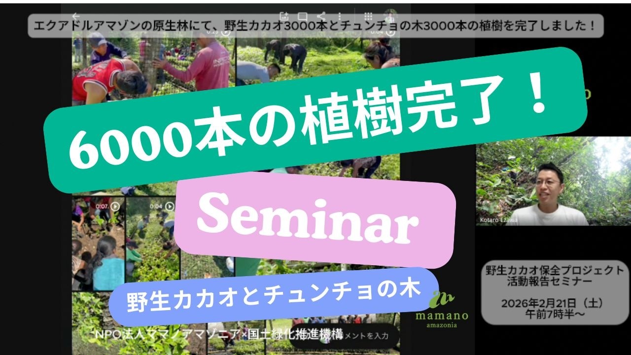 野生カカオ保全プロジェクト6000本植樹完了！ 2026年2月21日（土）午前7時半〜