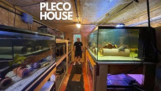 EPIC PLECO FISH HOUSE FULL TOUR (MUST SEE)