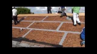 REPLACING SHINGLE ROOF step by step