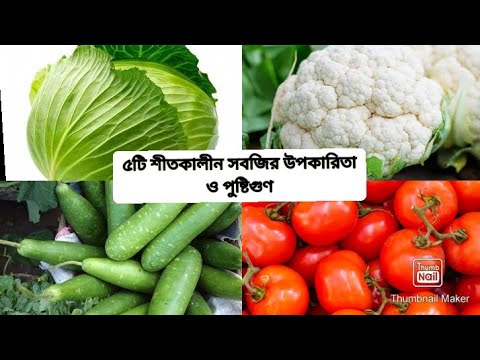 ভিডিও: ক্রীড়া পুষ্টি সম্পর্কে আরও