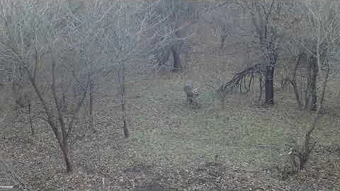 6 pt Putting On A Show