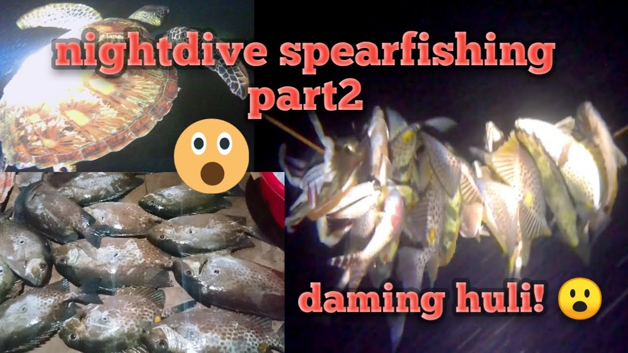 Spearfishing laws okinawa Spearfishing Laws