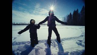 We went to see the northern lights