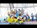 阿波おどり「めちゃ楽連」徳島夏の阿波おどり2018@アミコドーム