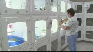 Federal lawsuit filed by St. Louis County Animal Shelter volunteers forced to reapply
