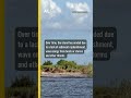 Island restored by oil spill funds after nearly vanishing from rising sea level