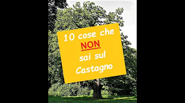 In che regione si trovano le colline del Canavese?