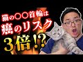 【猫のガン】癌のリスクが上がるもの5選!!~あなたのネコは大丈夫??~