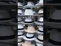 Sombreros de paja taquilla 👒🎩