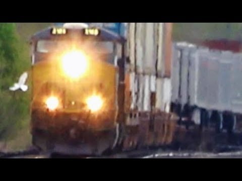 bnsf 5729 Freight Train Almost Hits Seagull 4K UHD