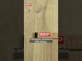 PVC BLACKTEX MAJOR OAK 636L 400 FILC