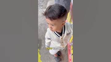 LIAT IKAN LAUT BESAR BESAR #shortsfeed #shortvideo #shorts
