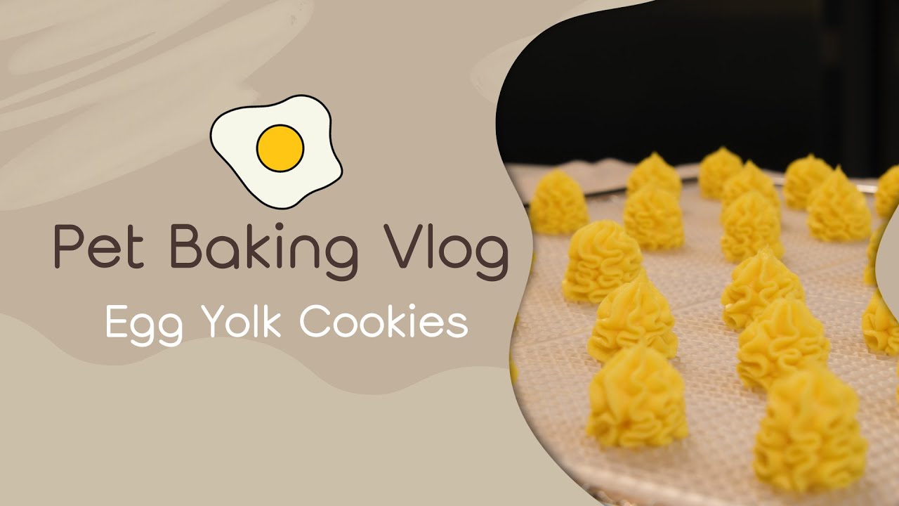 Egg Yolk Cookies 3 Ingredients DIY Homemade Dog Treats Recipe YouTube