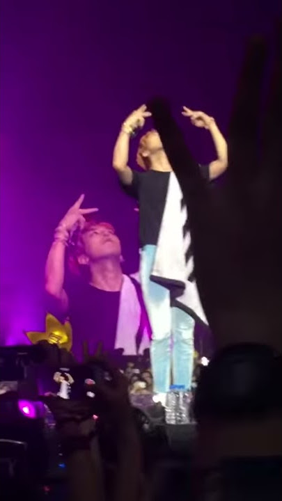 2015 BIGBANG MADE TOUR IN SINGAPORE-Bae Bae