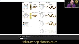 Ball Python Genetics - Part 1 Net Worth