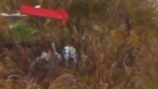 ぐっさん５オラオラオラァ