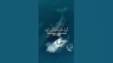 تلاوة خاشعة بصوت القآرئ:#عبدالرحمن_مسعد #قرآن #quran #راحة_نفسية #قران_كريم #اكسبلور #لايك #fypage