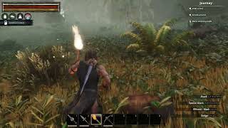 Conan Exiles - Panther cub location