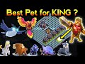 Best Pet for KiNG ? | Best pets combination for heroes part-1(King pet)  Clash of Clans @mr.gamer_
