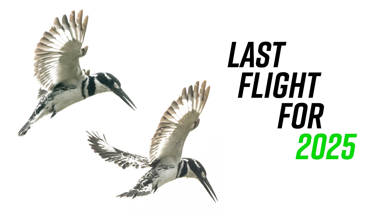 Rondevlei - Last Flight For 2025