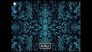 How To Install Telegram On Kali-Linux.