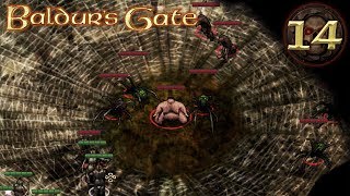 #14: Spiders, Sirens, & A Talking Chicken — [Baldurs Gate: Enhanced Edition]