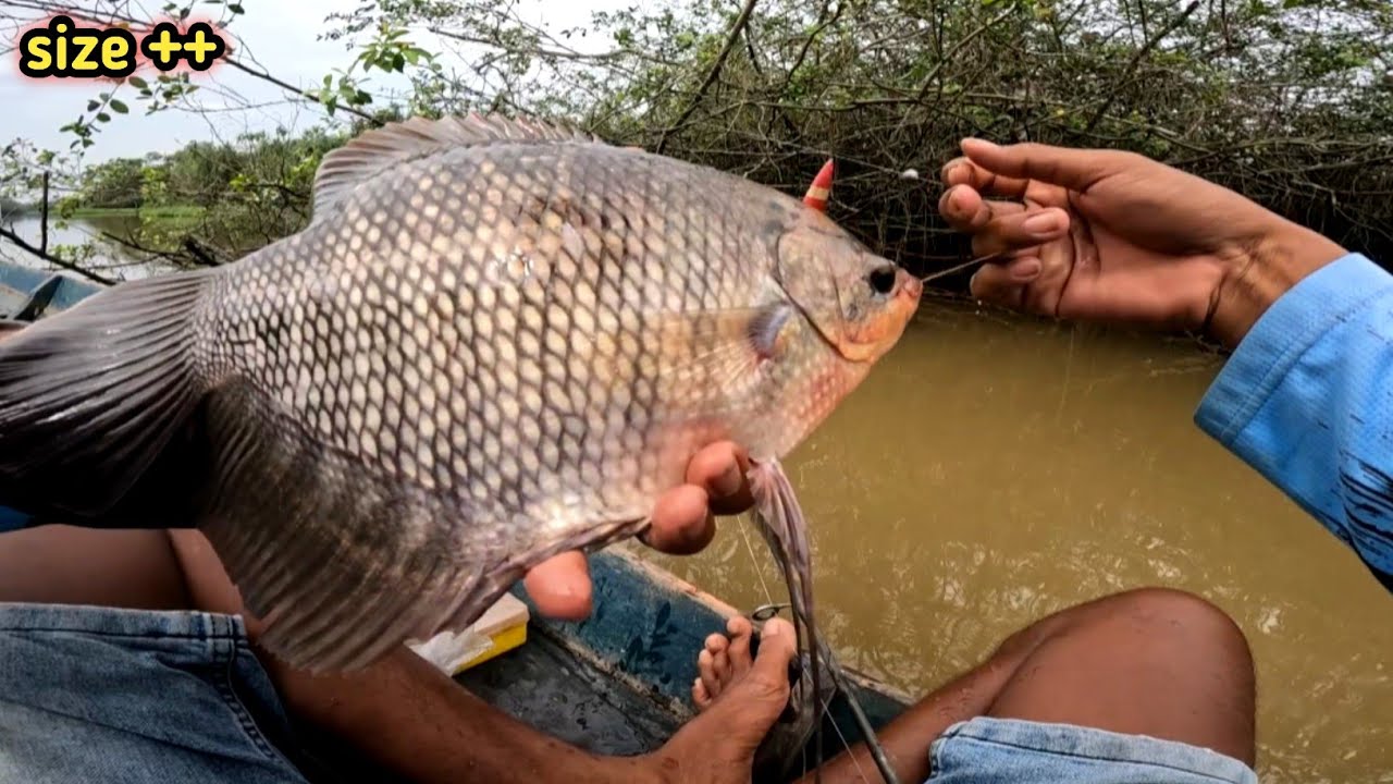 Pemancing mana yang tak tergoda jika melihat ukuran ikan di sini besar² dan tak terhingga 
