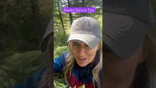 Alaskan Spruce Tips!