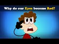 Why do our eyes become red  mores  aumsum kids science education children