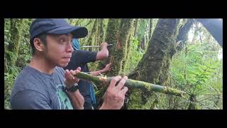 Mt. Patukan Silent Hiking (Happy Trekkers)