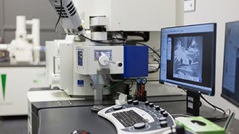 Introduction to biological sample preparation for STEM