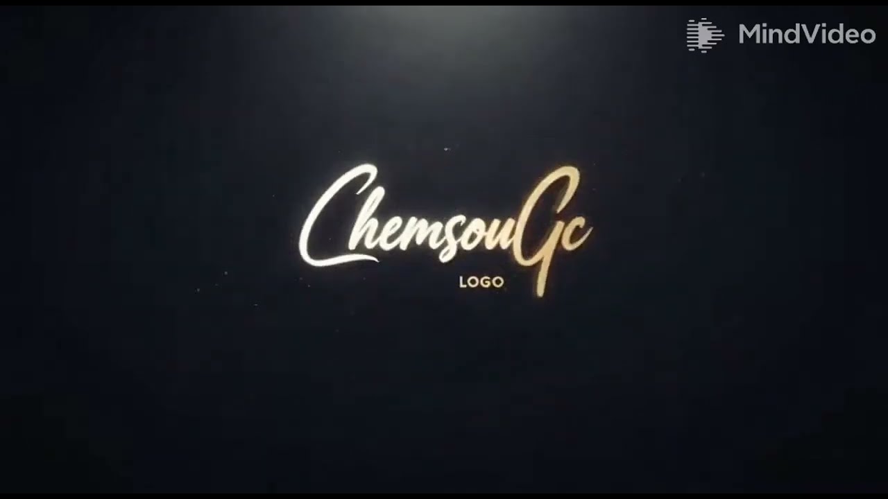 vous crée Le LOGO Pro pour votre marque