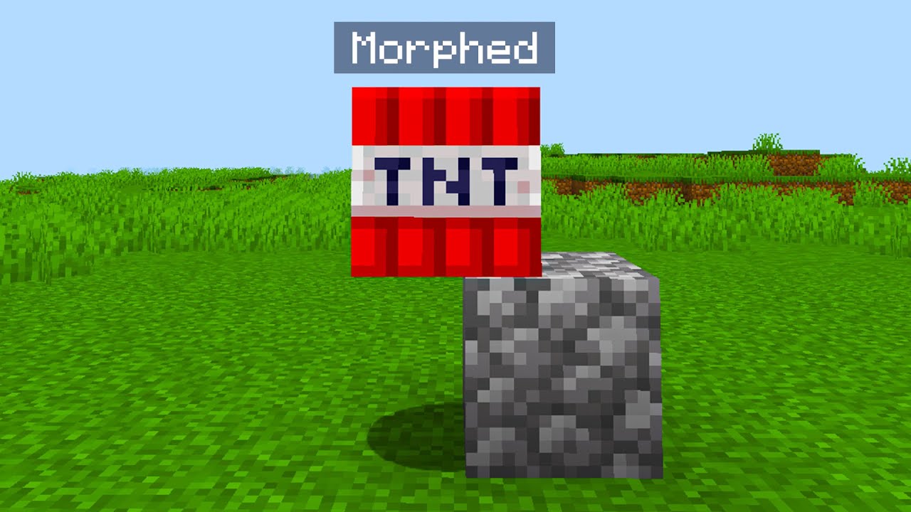 I Shapeshift to Cheat In Minecraft Hide And Seek!