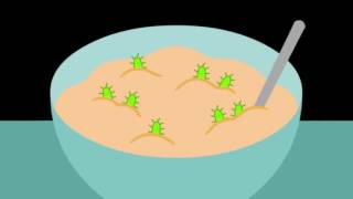 The chemistry of cookies Stephanie Warren The chemistry of cookies Stephanie Warren