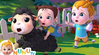 Download Lagu Baa Baa Black Sheep π | Nursery Rhymes \u0026 Kids Songs | Sing Along Song With NuNu Tv MP3 Download Lagu Baa Baa Black Sheep π | Nursery Rhymes \u0026 Kids Songs | Sing Along Song With NuNu Tv MP3