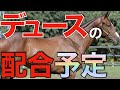 ドウデュースの配合予定馬が早くも発表！これは凄いことになりそう…。