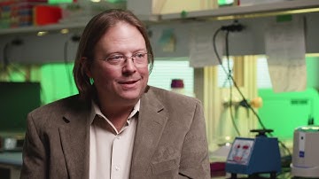 Decoding Coronaviruses