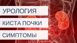 КИСТА ПОЧКИ - как распознать?