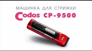 Codos CP-9500 машинка для стрижки собак, кошек видео(http://www.smileydog.ru В магазине 