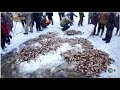 우올바 마을 얼음호수 고기잡이 (Spectacular Ice Fishing in Uolba, Russia)