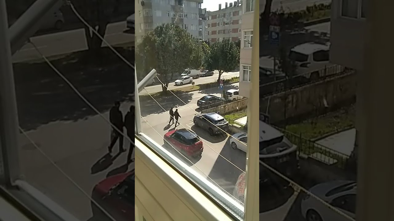 GezmezGezgin kanalı canlı yayında