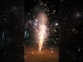 Wishing you all a happy Diwali #shortvideo #diwali #trending #fatake