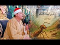 لن تصدق روعة التلاوة الشيخ محمود القزاز ي بهر القلوب في سورة النمل بصوت خاشع يهز الوجدان 