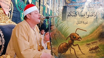 لن تصدق روعة التلاوة الشيخ محمود القزاز يُبهر القلوب في سورة النمل بصوت خاشع يهز الوجدان