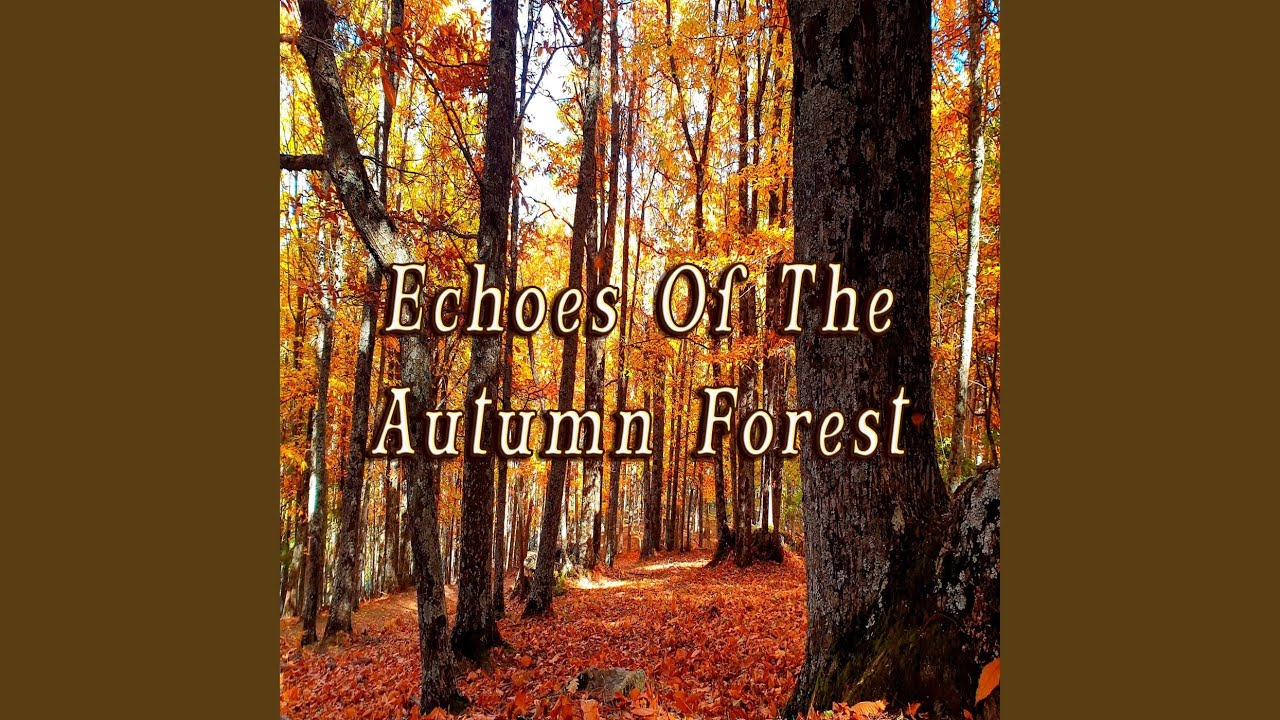 Cozy Autumn Ambience - Focus & Study with Fall Vibes