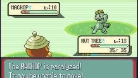 Pokemon Ruby Walkthrough Part 8 : Route 116 Training